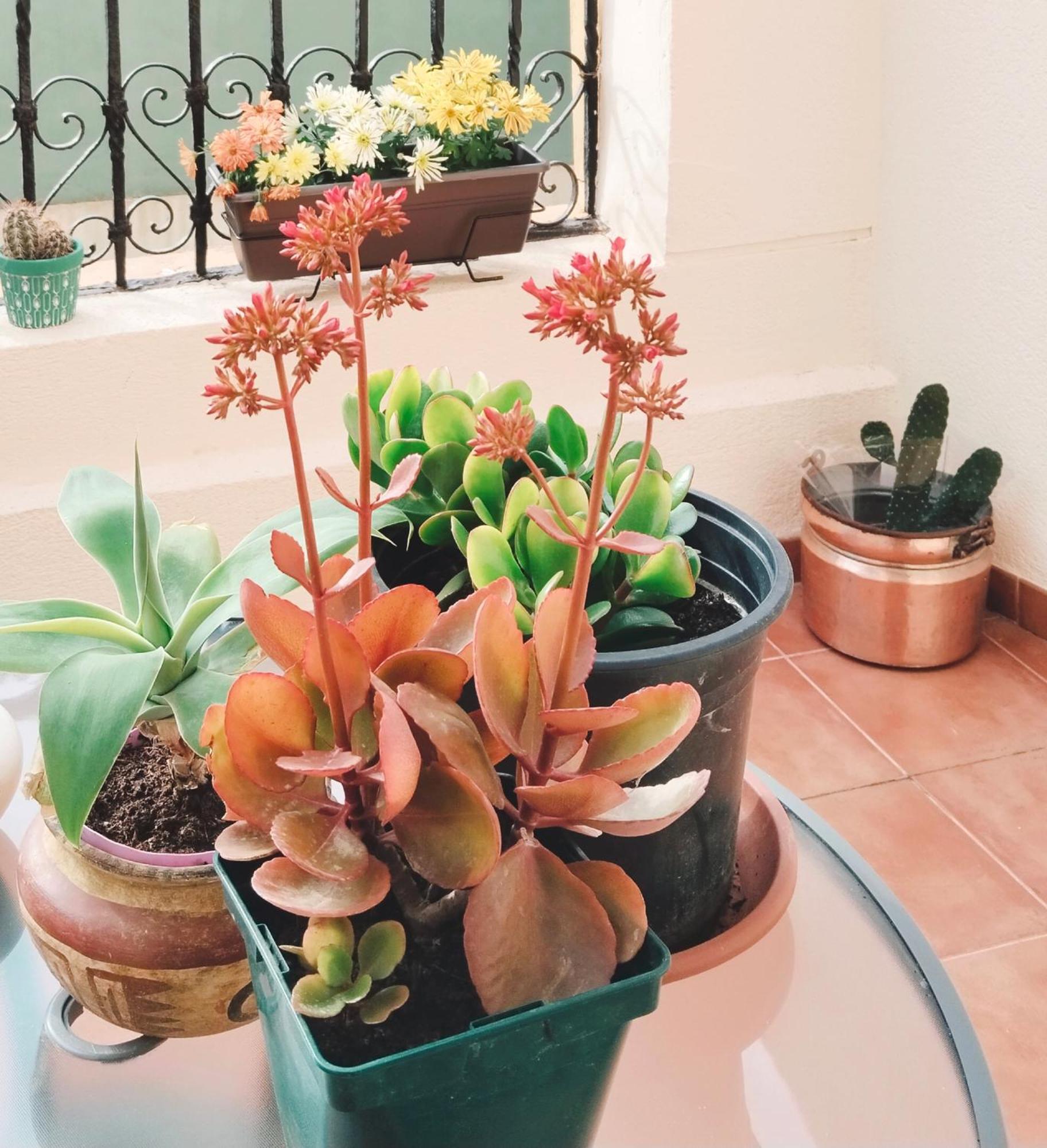 דירות קרטחנה La Casa De La Luz, Atico Con Terraza Privada, Parking Free מראה חיצוני תמונה